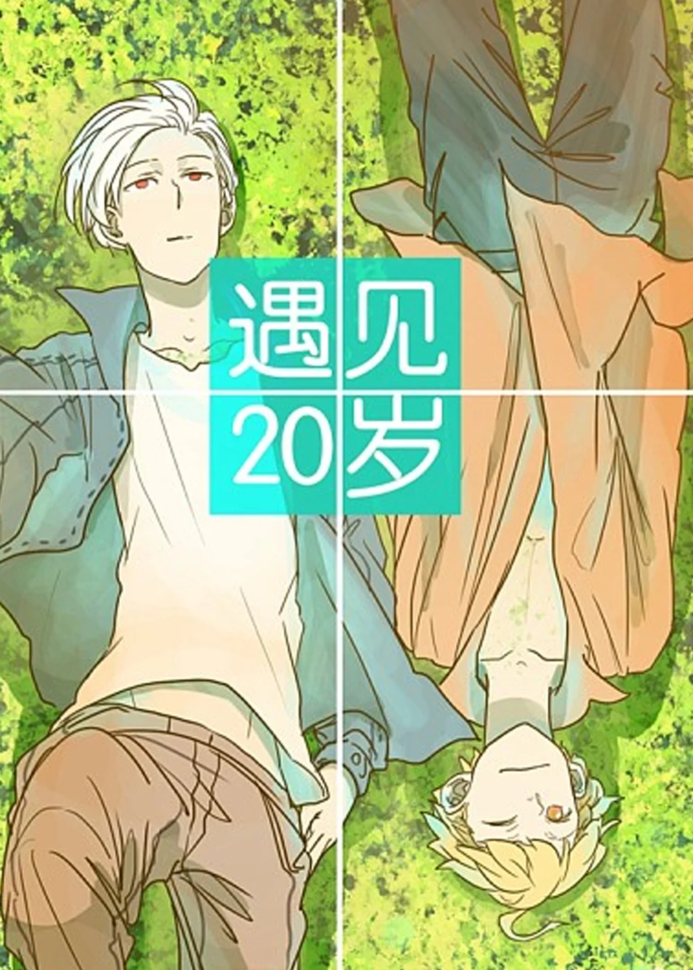 遇见20岁封面