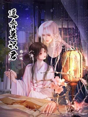 遥香莫识君封面