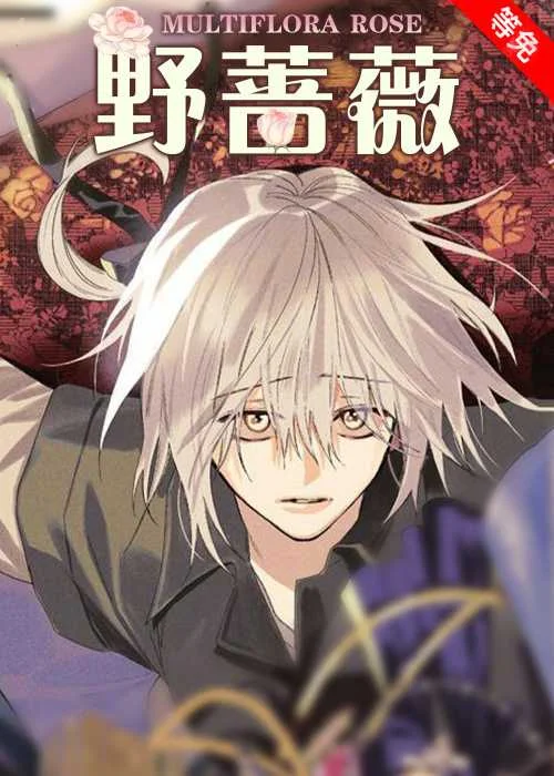 野蔷薇封面