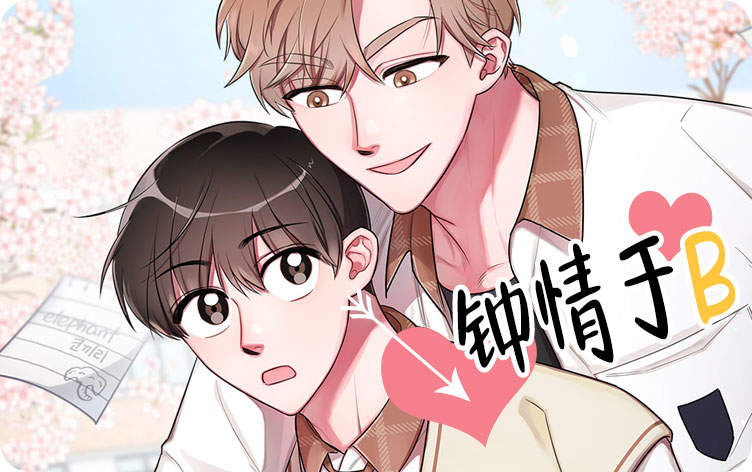钟情于B封面