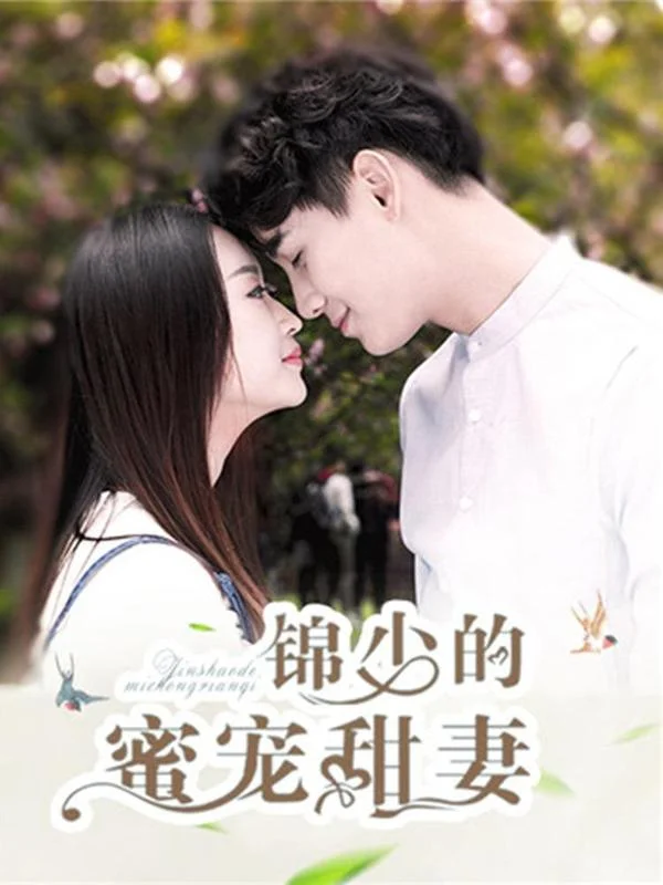 锦少的蜜宠甜妻封面