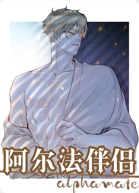 阿尔法伴侣封面