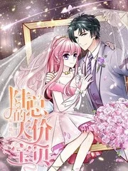 限时婚约：陆总的天价宝贝封面