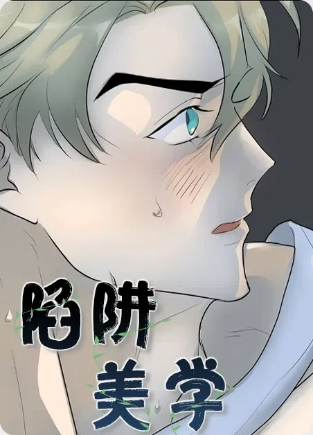 陷阱美学封面