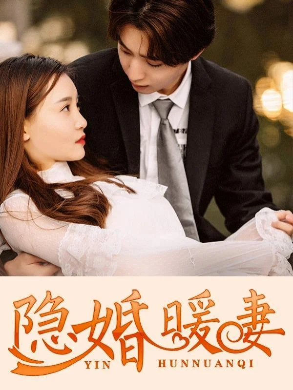 隐婚暖妻封面
