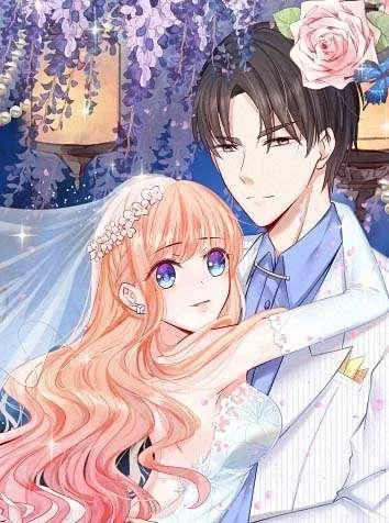 隐婚蜜爱：总裁大叔的天价宝贝封面