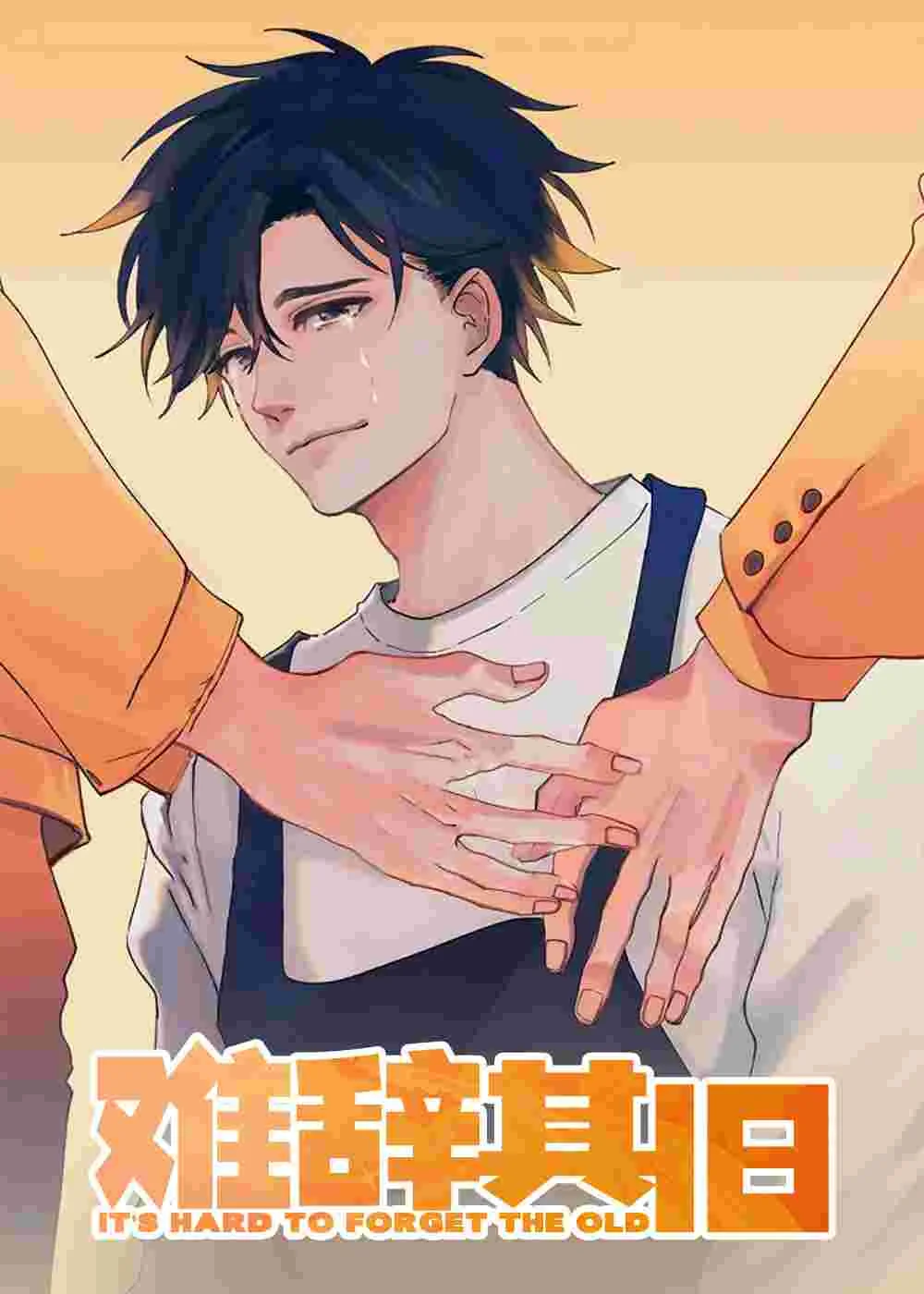 难辞其旧封面