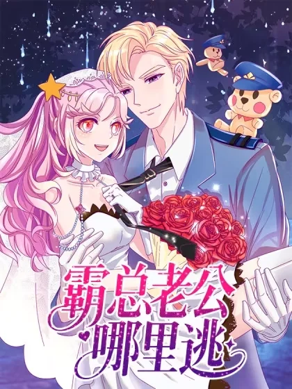 霸总老公哪里逃封面