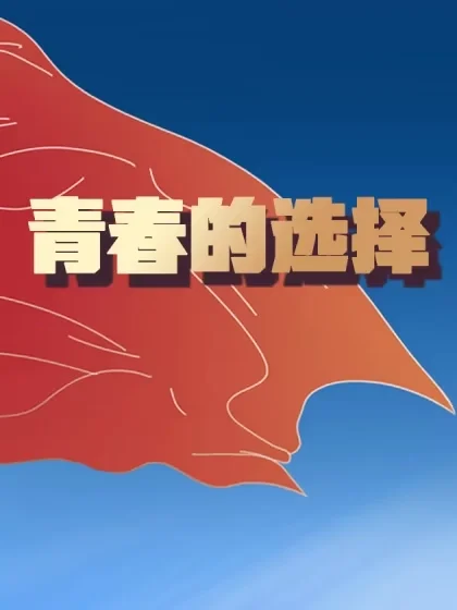 青春的选择封面