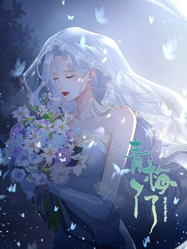 青梅了了封面