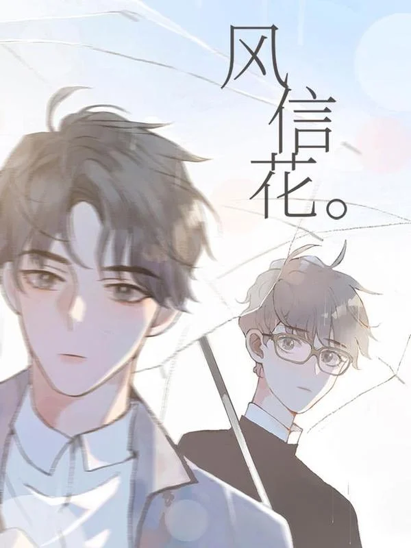 风信花封面