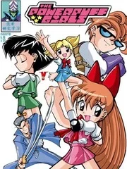 飞天小女警D封面