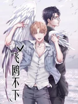飞鸥不下_h封面