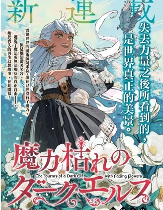 魔力枯竭的黑暗精灵封面