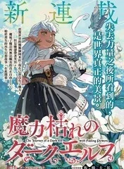 魔力枯竭的黑精灵封面