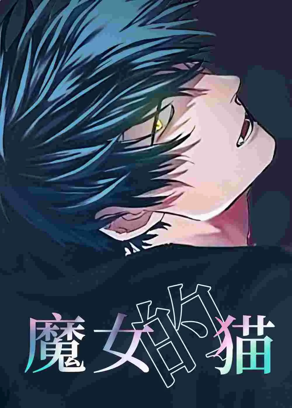 魔女的猫封面