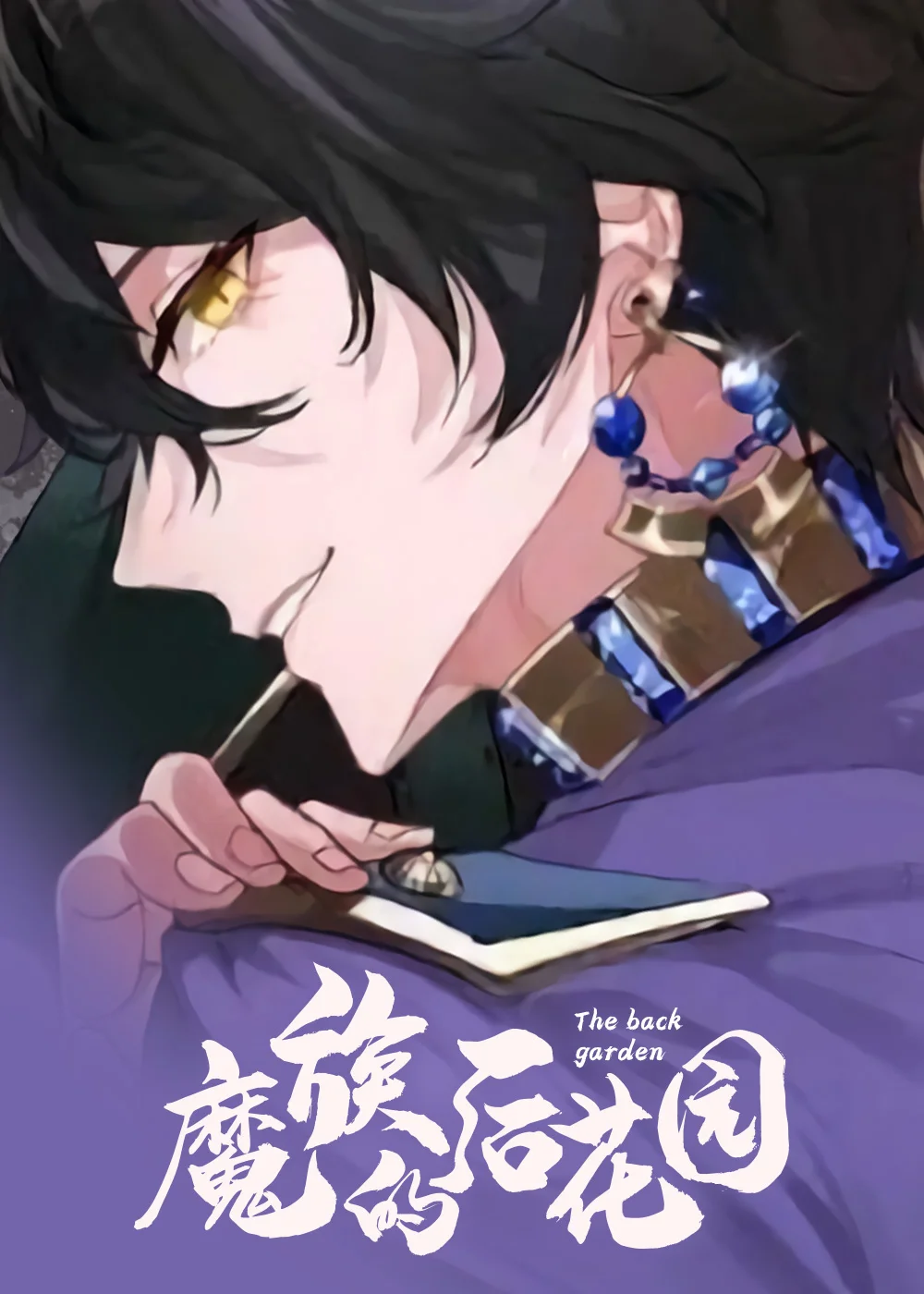 魔族的后花园封面