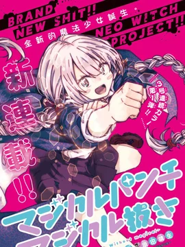 魔法少女崩帝拳封面