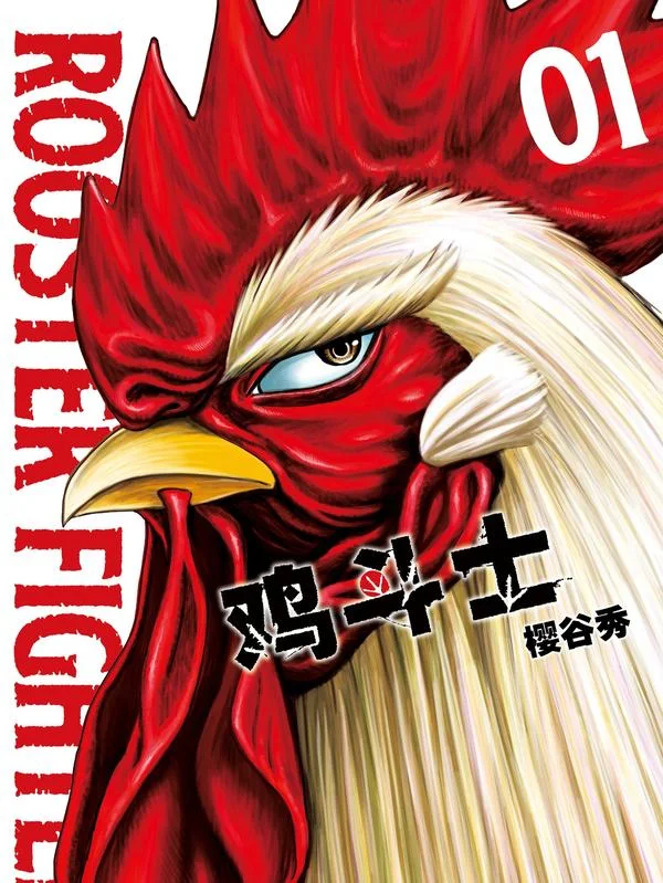 鸡斗士封面
