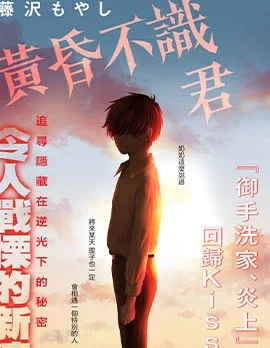 黄昏不识君封面