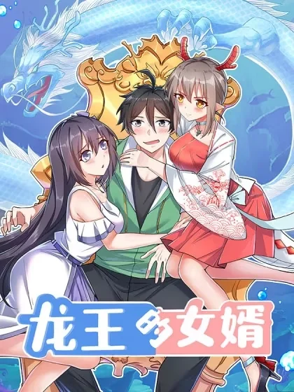 龙王的女婿封面